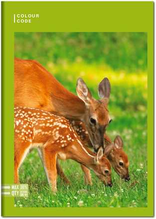 Cartoleria Quaderno Maxi A4 Color Code Animals Freedom 100 gr 1 rigo Color Code