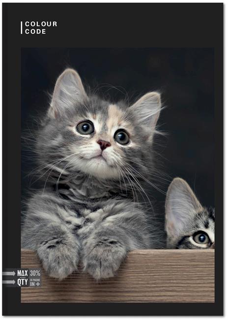 Quaderno Maxi A4 Color Code Animal Snapshot 100 gr Quadretti piccoli 4 mm - 2
