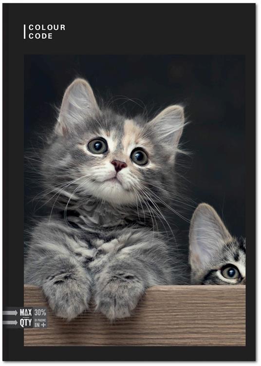 Quaderno Maxi A4 Color Code Animal Snapshot 100 gr Quadretti piccoli 4 mm - 2