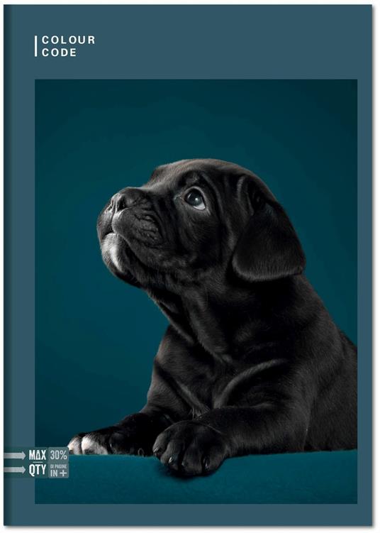 Quaderno Maxi A4 Color Code Animal Snapshot 100 gr Quadretti piccoli 4 mm - 3