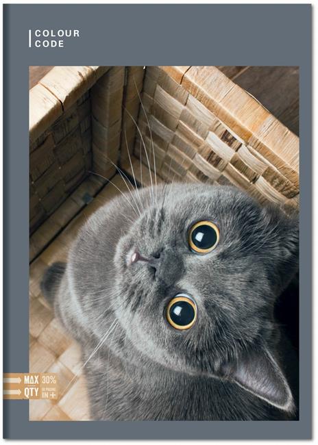 Quaderno Maxi A4 Color Code Animal Snapshot 100 gr Quadretti piccoli 4 mm - 4