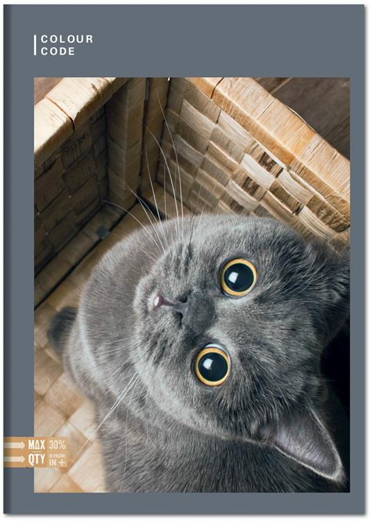 Quaderno Maxi A4 Color Code Animal Snapshot 100 gr Quadretti piccoli 4 mm - 4