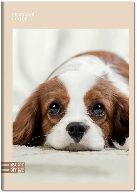 Quaderno Maxi A4 Color Code Animal Snapshot 100 gr Quadretti piccoli 4 mm - 6