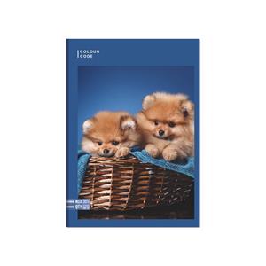 Cartoleria Quaderno A4 Maxi 96/100 Colour Code Animal Sn. 1 Rigo - 20,5 x 29,5 cm Colour Code
