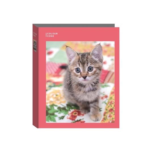 Copertina ad anelli A4 Maxi D30 Colour Code Animal S - 26 x 32 cm - 2