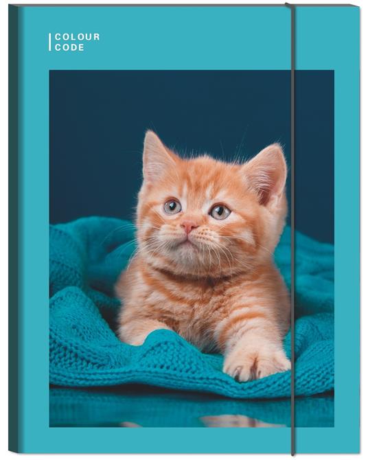 Cartelletta con elastico Ds01 Colour Code Animal Snap - 25 x 34 cm - 2