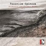 Musica orchestrale e da camera vol.1