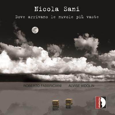 Dove Arrivano Le Nuvole Più Vaste - CD Audio di Roberto Fabbriciani,Nicola Sani