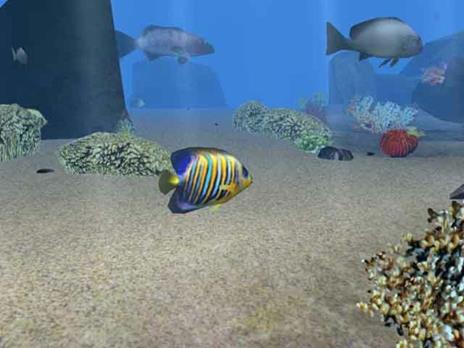 Scubeginners: Mondo Sommerso - PC - 2