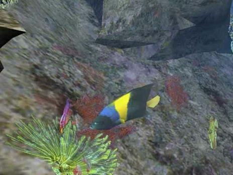 Scubeginners: Mondo Sommerso - PC - 4