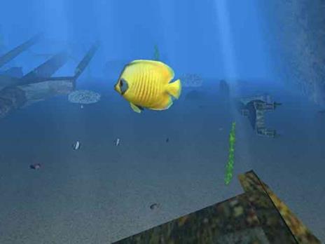 Scubeginners: Mondo Sommerso - PC - 6