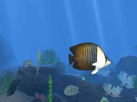 Scubeginners: Mondo Sommerso - PC - 7