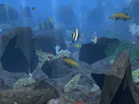 Scubeginners: Mondo Sommerso - PC - 10