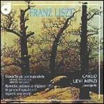 Gran Sonata per pianoforte - Rapsodia ungherese n.17 - Bagatella - CD Audio di Franz Liszt,Carlo Levi Minzi