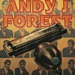 The Snapshots - CD Audio di Andy J. Forest