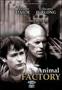 Animal Factory di Steve Buscemi - DVD