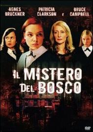 Il mistero del bosco