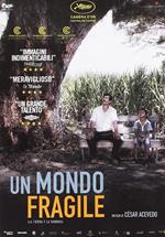 Un Mondo Fragile (DVD)