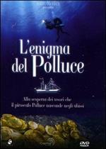 L' enigma del Polluce