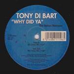 Why Did Ya (The Italian Remixes)