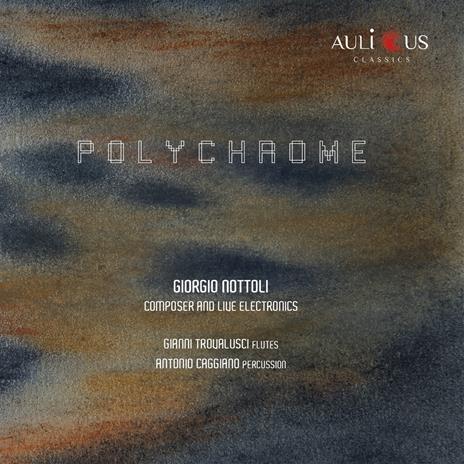 Polychrome - CD Audio di Giorgio Nottoli,Gianni Trovalusci