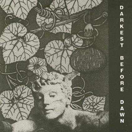 Darkest Before Dawn - CD Audio di Dark Day