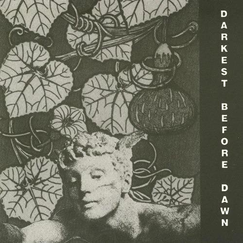 Darkest Before Dawn - CD Audio di Dark Day