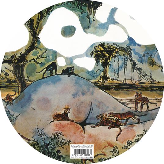 Nuda (Limited Picture Disc Edition) - Vinile LP di Garybaldi - 3