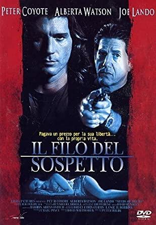 Il filo del sospetto (DVD) di Peter Foldy - DVD