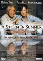 A Storm in Summer. Temporale d'estate (DVD)