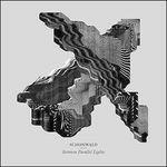 Between Parallel Lights - Vinile LP di Schonwald