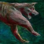 Bab - CD Audio di Appaloosa