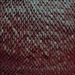 Carnelian - Vinile LP di Kill the Vultures