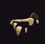 Silk Around the Marrow - CD Audio di Dagger Moth