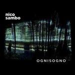 Ognisogno - Vinile LP di Nico Sambo