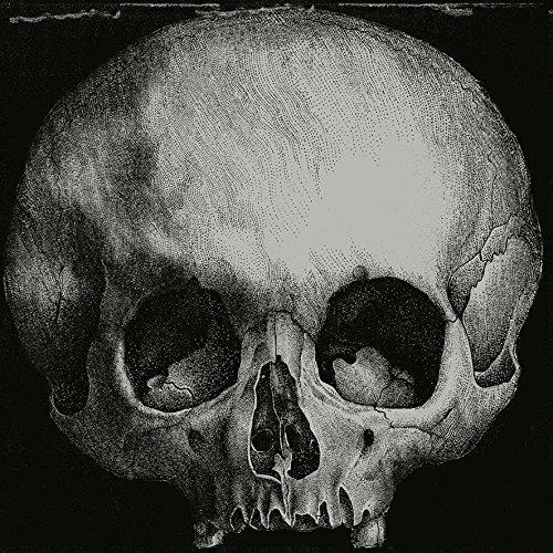 Stoned.Immaculate - Vinile LP di Kint