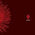 Red Mishima