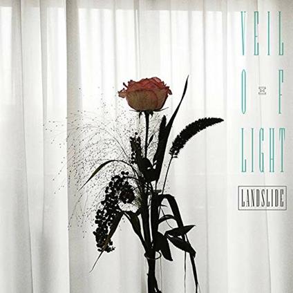 Landslide - Vinile LP di Veil of Light