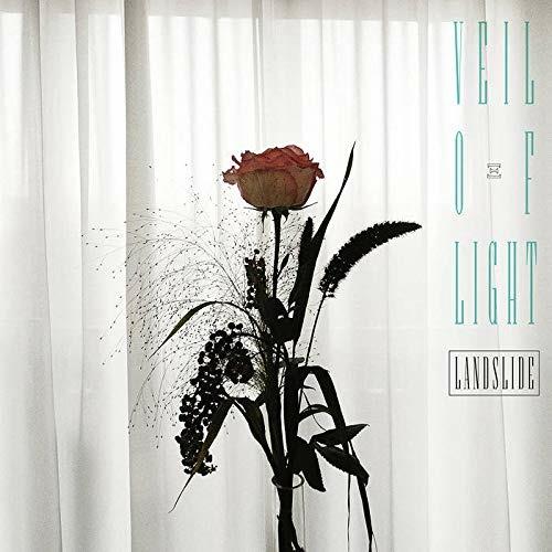Landslide - Vinile LP di Veil of Light