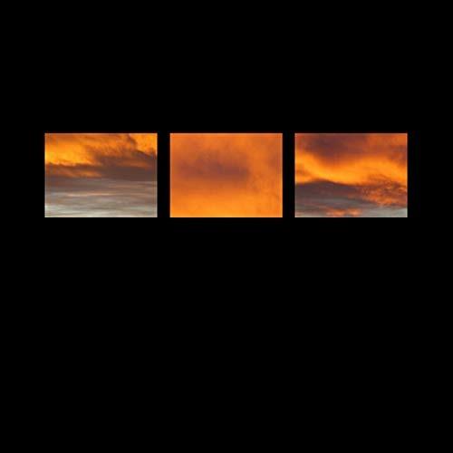 The Suncrows Fall and Tree - Vinile LP di Stefano Pilia