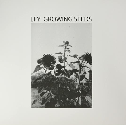 Growing Seeds - Vinile LP di Lust for Youth