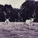 Capture - Clear Edition