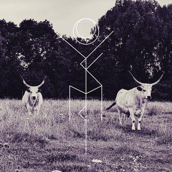 Capture - Clear Edition - Vinile LP di Yakima Jera