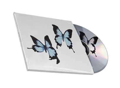 CD Tear Korine