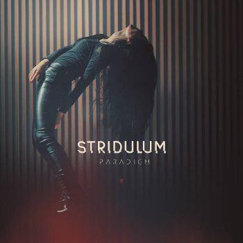 Paradigm - CD Audio di Stridulum