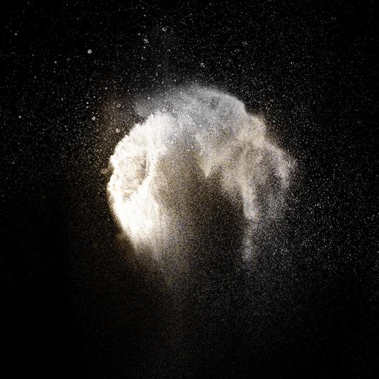 Into Oblivion - CD Audio di Necro