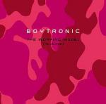 The Working Model - Vinile LP di Boytronic