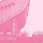Barberos (Pink Vinyl)