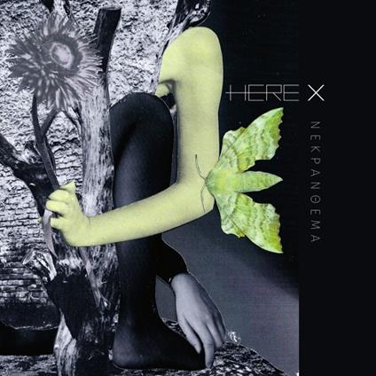 Nekranthema - Vinile LP di Here X