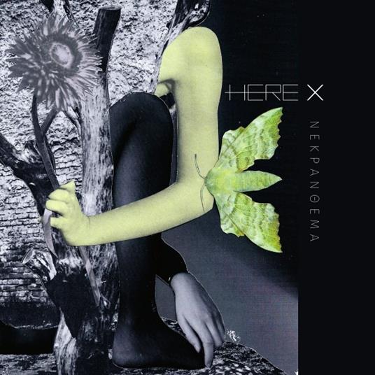 Nekranthema - Vinile LP di Here X